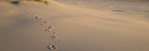 footsteps_on_beach_desktop_wallpaper_84810