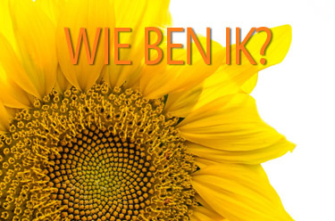 wie-ben-ik